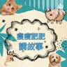 瘦瘦肥肥講故事